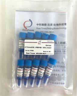 2×Tricine多肽上樣緩沖液（變性，非還原）