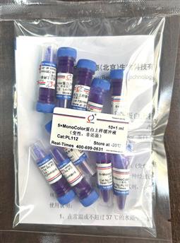 5×MonoColor 蛋白上樣緩沖液 (變性，非還原)