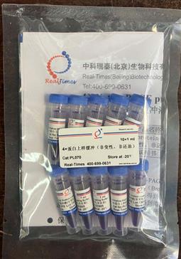 4×蛋白上樣緩沖（非變性，非還原）