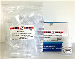 柱式動物總蛋白提取試劑盒（細(xì)胞樣品，變性提?。? width="255px" /></a><input type="hidden" name="hidProductID" id="hidProductID" value="1326" /><input type="hidden" name="HidProductName" id="HidProductName" value="柱式動物總蛋白提取試劑盒（細(xì)胞樣品，變性提?。? /><input type="hidden" name="HidRetailPrice" id="HidRetailPrice" value="500" /><input type="hidden" name="HidColors" id="HidColors" value="50次" />
                        <div   id="ccccc08c4ccc"   class="detail">
                            <div   id="ccccc08c4ccc"   class="top">                                
                                <h3>柱式動物總蛋白提取試劑盒（細(xì)胞樣品，變性提?。?/h3>
                            </div>
                            <p>產(chǎn)品編號：RTD8302</p>
                            <p>產(chǎn)品規(guī)格：50次</p>
                            <div   id="ccccc08c4ccc"   class="size">                                
                                
                                
                            </div>
                            <div   id="ccccc08c4ccc"   class="amount">
                                <span>數(shù)量</span>
                                <input type="submit" name="Button2" value="-" onclick="javascript:WebForm_DoPostBackWithOptions(new WebForm_PostBackOptions("Button2", "", true, "", "", false, false))" id="Button2" />
                                <input name="Number" type="text" value="1" maxlength="3" size="5" onchange="javascript:setTimeout('__doPostBack(\'Number\',\'\')', 0)" onkeypress="if (WebForm_TextBoxKeyHandler(event) == false) return false;" id="Number" />                                                                                   
                                <input type="submit" name="Button1" value="+" onclick="javascript:WebForm_DoPostBackWithOptions(new WebForm_PostBackOptions("Button1", "", true, "", "", false, false))" id="Button1" /><br />
                                <span id="RequiredFieldValidator2" style="display:none;">請輸入數(shù)字</span>
                                 <span id="RegularExpressionValidator1" style="display:none;">請輸入最大3位數(shù)字</span>
                              
                            </div>
                            <div   id="ccccc08c4ccc"   class="price">
                                <span>價格</span>
                                <span>￥500</span>
                            </div>
                        </div>
                    </div>
                    <div   id="ccccc08c4ccc"   class="right">
                        <div   id="ccccc08c4ccc"   class="download"><a href = "/file/2024/20240625090501508bf9e5.PDF" > 說明書下載 </a></div>
                        <div   id="ccccc08c4ccc"   class="cart"><input type="image" name="Add_Cart_Button" id="Add_Cart_Button" src="../images/home/addCart.gif" onclick="javascript:WebForm_DoPostBackWithOptions(new WebForm_PostBackOptions("Add_Cart_Button", "", true, "", "", false, false))" /></div>
                    </div>
                </div>
                <div   id="ccccc08c4ccc"   class="tab">
                    <div   id="ccccc08c4ccc"   class="innerbox1">
                        <div   id="ccccc08c4ccc"   class="top1">
                            <div   id="ccccc08c4ccc"   class="tab-item current"><a href="javascript:;">產(chǎn)品簡介</a></div>
                            <div   id="ccccc08c4ccc"   class="tab-item"><a href="javascript:;">背景資料</a></div>
                            <div   id="ccccc08c4ccc"   class="tab-item"><a href="javascript:;">質(zhì)檢證書</a></div>
                            <div   id="ccccc08c4ccc"   class="tab-item"><a href="javascript:;">相關(guān)產(chǎn)品</a></div>
                            <div   id="ccccc08c4ccc"   class="tab-item"><a href="javascript:;">發(fā)表論文</a></div>
                            <div   id="ccccc08c4ccc"   class="tab-item"><a href="javascript:;">產(chǎn)品問答</a></div>
                        </div>
                        <div   id="ccccc08c4ccc"   class="innerbox">                           
                            <div><p class="MsoNormal" align="center" style="text-align:center;">
	<b>柱式動物總蛋白提取試劑盒（細(xì)胞樣品，變性提?。?/b><b>  </b>
</p>
<p class="MsoNormal" align="center" style="text-align:center;">
	<b>Column Animal Cells Denaturing Total Protein
Extraction Kit </b><b>Ver.740164</b><b></b>
</p>
<div align="center">
	<table class="MsoNormalTable" border="1" cellspacing="0" cellpadding="0" width="466" style="width:349.35pt;border:none;">
		<tbody>
			<tr>
				<td width="80" valign="top" style="border:solid windowtext 1.0pt;background:#E0E0E0;">
					<p class="MsoNormal" align="center" style="text-align:center;">
						<b><span style="font-family:宋體;background:#D9D9D9;">貨號</span></b><b><span style="font-family:"background:#D9D9D9;"></span></b>
					</p>
				</td>
				<td width="327" valign="top" style="border:solid windowtext 1.0pt;background:#E0E0E0;">
					<p class="MsoNormal" align="center" style="text-align:center;">
						<b><span style="font-family:宋體;background:#D9D9D9;">產(chǎn)品名稱</span></b><b><span style="font-family:"background:#D9D9D9;"></span></b>
					</p>
				</td>
				<td width="59" valign="top" style="border:solid windowtext 1.0pt;background:#E0E0E0;">
					<p class="MsoNormal" align="center" style="text-align:center;">
						<b><span style="font-family:宋體;background:#D9D9D9;">規(guī)格</span></b><b><span style="font-family:"background:#D9D9D9;"></span></b>
					</p>
				</td>
			</tr>
			<tr>
				<td width="80" valign="top" style="border:solid windowtext 1.0pt;">
					<p class="MsoNormal" align="center" style="text-align:center;">
						<span style="font-family:"">RTD8302</span>
					</p>
				</td>
				<td width="327" valign="top" style="border:solid windowtext 1.0pt;">
					<p class="MsoNormal" align="center" style="text-align:center;">
						<span style="font-family:宋體;">柱式動物總蛋白提取試劑盒（細(xì)胞樣品，變性提?。?/span><span style="font-family:""></span>
					</p>
				</td>
				<td width="59" valign="top" style="border:solid windowtext 1.0pt;">
					<p class="MsoNormal" align="center" style="text-align:center;">
						<span style="font-family:"">50</span><span style="font-family:宋體;">次</span><span style="font-family:""></span>
					</p>
				</td>
			</tr>
		</tbody>
	</table>
</div>
<p class="MsoNormal">
	<b>● </b><b>產(chǎn)品包裝：<span></span></b>
</p>
<div align="center">
	<table class="MsoNormalTable" border="1" cellspacing="0" cellpadding="0" width="457" style="width:343.05pt;border:none;">
		<tbody>
			<tr>
				<td width="94" valign="top" style="border:solid windowtext 1.0pt;background:#E0E0E0;">
					<p class="MsoNormal" align="center" style="text-align:center;">
						<b><span style="font-family:宋體;background:#D9D9D9;">貨號</span></b><b><span style="font-family:"background:#D9D9D9;"></span></b>
					</p>
				</td>
				<td width="244" valign="top" style="border:solid windowtext 1.0pt;background:#E0E0E0;">
					<p class="MsoNormal" align="center" style="text-align:center;">
						<b><span style="font-family:宋體;background:#D9D9D9;">組份</span></b><b><span style="font-family:"background:#D9D9D9;"></span></b>
					</p>
				</td>
				<td width="56" valign="top" style="border:solid windowtext 1.0pt;background:#E0E0E0;">
					<p class="MsoNormal" align="center" style="text-align:center;">
						<b><span style="font-family:宋體;background:#D9D9D9;">規(guī)格</span></b><b><span style="font-family:"background:#D9D9D9;"></span></b>
					</p>
				</td>
				<td width="63" valign="top" style="border:solid windowtext 1.0pt;background:#E0E0E0;">
					<p class="MsoNormal" align="center" style="text-align:center;">
						<b><span style="font-family:宋體;background:#D9D9D9;">貯存</span></b><b><span style="font-family:"background:#D9D9D9;"></span></b>
					</p>
				</td>
			</tr>
			<tr>
				<td width="94" valign="top" style="border:solid windowtext 1.0pt;">
					<p class="MsoNormal" align="center" style="text-align:center;">
						<span style="font-family:"">RTD8302-01</span>
					</p>
				</td>
				<td width="244" valign="top" style="border:solid windowtext 1.0pt;">
					<p class="MsoNormal" align="center" style="text-align:center;">
						<span style="font-family:宋體;">變性裂解緩沖液</span><span style="font-family:""></span>
					</p>
				</td>
				<td width="56" valign="top" style="border:solid windowtext 1.0pt;">
					<p class="MsoNormal" align="center" style="text-align:center;">
						<span style="font-family:"">25 ml</span>
					</p>
				</td>
				<td width="63" valign="top" style="border:solid windowtext 1.0pt;">
					<p class="MsoNormal" align="center" style="text-align:center;">
						<span style="font-family:"">4</span><span style="font-family:宋體;">℃</span><span style="font-family:""></span>
					</p>
				</td>
			</tr>
			<tr>
				<td width="94" style="border:solid windowtext 1.0pt;">
					<p class="MsoNormal" align="center" style="text-align:center;">
						<span style="font-size:11.0pt;font-family:"">CD-50</span>
					</p>
				</td>
				<td width="244" style="border:solid windowtext 1.0pt;">
					<p class="MsoNormal" align="center" style="text-align:center;">
						<span style="font-size:11.0pt;font-family:宋體;">離心柱套裝</span><span style="font-size:11.0pt;font-family:""></span>
					</p>
					<p class="MsoNormal" align="center" style="text-align:center;">
						<span style="font-size:11.0pt;font-family:宋體;">（包含離心柱和</span><span style="font-size:11.0pt;font-family:"">2 ml</span><span style="font-size:11.0pt;font-family:宋體;">連蓋收集管）</span><span style="font-size:11.0pt;font-family:""></span>
					</p>
				</td>
				<td width="56" style="border:solid windowtext 1.0pt;">
					<p class="MsoNormal" align="center" style="text-align:center;">
						<span style="font-size:11.0pt;font-family:"">50</span><span style="font-size:11.0pt;font-family:宋體;">套</span><span style="font-size:11.0pt;font-family:""></span>
					</p>
				</td>
				<td width="63" style="border:solid windowtext 1.0pt;">
					<p class="MsoNormal" align="center" style="text-align:center;">
						<span style="font-size:11.0pt;font-family:"">RT</span>
					</p>
				</td>
			</tr>
		</tbody>
	</table>
</div>
<p class="MsoNormal">
	<b>● </b><b>產(chǎn)品簡介：<span></span></b>
</p>
<p class="MsoNormal" style="text-indent:21.0pt;">
	本試劑盒可從動物懸浮細(xì)胞或貼壁細(xì)胞中提取總蛋白，用變性裂解緩沖液配合離心柱裂解細(xì)胞，無需超聲處理打斷DNA，提取過程簡便高效，大約10分鐘即可完成蛋白提取，可以提取到細(xì)胞內(nèi)的絕大多數(shù)蛋白質(zhì)（包括膜，細(xì)胞器，核，核基質(zhì)和胞質(zhì)蛋白）。獲得的總蛋白可用于SDS-PAGE
Western Blot檢測、免疫沉淀（IP）等后續(xù)研究。由于裂解緩沖液中含有SDS等強(qiáng)變性劑，不建議用于免疫共沉淀（Co-IP）、EMSA以及酶活性分析等與蛋白活性相關(guān)的實(shí)驗(yàn)。
</p>
<p class="MsoNormal" style="text-indent:21.0pt;">
	本產(chǎn)品提取的是細(xì)胞樣品的變性總蛋白，包括質(zhì)膜，細(xì)胞器，細(xì)胞核，核基質(zhì)和細(xì)胞質(zhì)內(nèi)的蛋白，提取的蛋白不適用非變性電泳。
</p>
<p class="MsoNormal" style="text-indent:21.0pt;">
	按照每次使用~5×10<sup>6</sup>培養(yǎng)細(xì)胞加0.5 ml裂解緩沖液計算，本試劑盒大約可以使用50 次。
</p>
<p class="MsoNormal">
	<b>● </b><b>保存、效期及運(yùn)輸：<span></span></b>
</p>
<p class="MsoNormal" align="left" style="margin-left:22.65pt;">
	按照標(biāo)簽溫度貯存；有效期一年；試劑盒常溫運(yùn)輸。
</p>
<p class="MsoNormal">
	<b>● </b><b>用前必讀：</b><b></b>
</p>
<p class="MsoNormal" style="margin-left:33.7pt;text-indent:-15.75pt;">
	1.
離心機(jī)請調(diào)整成RCF/g模式，按照離心力設(shè)置離心機(jī)（不要根據(jù)轉(zhuǎn)速rpm模式設(shè)置），需要離心機(jī)轉(zhuǎn)速能達(dá)到16000
g（約20000
rpm），所有離心步驟都需要在4℃低溫離心機(jī)中進(jìn)行。
</p>
<p class="MsoNormal" style="margin-left:18.0pt;">
	2.
變性裂解緩沖液混勻后放置于冰上。將離心柱套裝蓋好管蓋，放置于冰上預(yù)冷。
</p>
<p class="MsoNormal" style="margin-left:33.7pt;text-indent:-15.75pt;">
	3.
蛋白提取推薦添加蛋白酶抑制劑（自備，試劑盒不提供），根據(jù)蛋白酶抑制劑母液濃度提前添加在裂解緩沖液中（添加時按照1:100添加，即1
ml裂解緩沖液 添加10
μl抑制劑）；研究蛋白磷酸化，需要添加磷酸酶抑制劑（自備，試劑盒不提供）。
</p>
<p class="MsoNormal" align="left" style="text-indent:15.75pt;">
	4.
蛋白定量推薦使用BCA方法，可以選擇BCA蛋白濃度測定試劑盒（貨號：RTP7102）。<b></b>
</p>
<p class="MsoNormal" align="left">
	<b>● </b><b>使用說明：<span></span></b>
</p>
<p class="MsoNormal" align="left" style="margin-left:19.05pt;text-indent:-15.8pt;">
	<b>一</b><b>. </b><b>準(zhǔn)備即用型裂解緩沖液：</b><b></b>
</p>
<p class="MsoNormal" align="left" style="margin-left:15.75pt;text-indent:21pt;">
	取適當(dāng)體積的預(yù)冷裂解緩沖液，在使用前數(shù)分鐘內(nèi)加入1/100體積的蛋白酶抑制劑（100×）（自備，試劑盒不提供），如果進(jìn)行蛋白磷酸化研究，需要加入1/100體積的磷酸酶抑制劑
</p>
<p class="MsoNormal" align="left" style="margin-left:15.75pt;text-indent:21pt;">
	（100×）（自備，試劑盒不提供），隨后立即放于冰上待用。
</p>
<p class="MsoNormal" align="left" style="margin-left:13.8pt;text-indent:-10.55pt;">
	<b>二</b><b>. </b><b>貼壁細(xì)胞蛋白提?。?/b><b></b>
</p>
<p class="MsoNormal" align="left" style="margin-left:29.2pt;text-indent:-15.45pt;">
	2.1 將預(yù)冷的 <span>1</span>×PBS直接加入培養(yǎng)板，培養(yǎng)皿或培養(yǎng)瓶中清洗貼壁細(xì)胞，吸去上清。
</p>
<p class="MsoNormal" align="left" style="margin-left:29.2pt;text-indent:-15.45pt;">
	2. 2 按照下表中將相應(yīng)體積的變性裂解緩沖液均勻的加入整個器皿表面，用移液器吹打混勻，冰浴5分鐘。
</p>
<div align="center">
	<table class="MsoNormalTable" border="1" cellspacing="0" cellpadding="0" width="600" style="width:450.15pt;border:none;">
		<tbody>
			<tr>
				<td width="89" style="border:solid windowtext 1.0pt;">
					<p class="MsoNormal" align="center" style="text-align:center;">
						<b><span style="font-family:宋體;">細(xì)胞類型</span></b><b><span style="font-family:""></span></b>
					</p>
				</td>
				<td width="112" style="border:solid windowtext 1.0pt;">
					<p class="MsoNormal" align="center" style="text-align:center;">
						<b><span style="font-family:宋體;">培養(yǎng)器皿</span></b><b><span style="font-family:""></span></b>
					</p>
				</td>
				<td width="86" style="border:solid windowtext 1.0pt;">
					<p class="MsoNormal" align="center" style="text-align:center;">
						<b><span style="font-family:宋體;">細(xì)胞數(shù)量</span></b><b><span style="font-family:""></span></b>
					</p>
				</td>
				<td width="170" style="border:solid windowtext 1.0pt;">
					<p class="MsoNormal" align="center" style="text-align:center;">
						<b><span style="font-family:宋體;">細(xì)胞沉淀體積（</span></b><b><span style="font-family:"">PCV</span></b><b><span style="font-family:宋體;">）（</span></b><b><span style="font-family:"">μl</span></b><b><span style="font-family:宋體;">）</span></b><span style="font-family:""></span>
					</p>
				</td>
				<td width="143" style="border:solid windowtext 1.0pt;">
					<p class="MsoNormal" align="center" style="text-align:center;">
						<b><span style="font-family:宋體;">裂解緩沖液（</span></b><b><span style="font-family:"">μl</span></b><b><span style="font-family:宋體;">）</span></b><b><span style="font-family:""></span></b>
					</p>
				</td>
			</tr>
			<tr>
				<td width="89" rowspan="7" style="border:solid windowtext 1.0pt;">
					<p class="MsoNormal" align="center" style="text-align:center;">
						<span style="font-family:宋體;">貼壁細(xì)胞</span><span style="font-family:""></span>
					</p>
				</td>
				<td width="112" style="border:solid windowtext 1.0pt;">
					<p class="MsoNormal" align="center" style="text-align:center;">
						<span style="font-family:"">24</span><span style="font-family:宋體;">孔板</span><span style="font-family:""></span>
					</p>
				</td>
				<td width="86" style="border:solid windowtext 1.0pt;">
					<p class="MsoNormal" align="center" style="text-align:center;">
						<span style="font-family:"">~5×10<sup>5</sup></span>
					</p>
				</td>
				<td width="170" style="border:solid windowtext 1.0pt;">
					<p class="MsoNormal" align="center" style="text-align:center;">
						<span style="font-family:"">~5</span>
					</p>
				</td>
				<td width="143" style="border:solid windowtext 1.0pt;">
					<p class="MsoNormal" align="center" style="text-align:center;">
						<span style="font-family:"">50</span>
					</p>
				</td>
			</tr>
			<tr>
				<td width="112" style="border:solid windowtext 1.0pt;">
					<p class="MsoNormal" align="center" style="text-align:center;">
						<span style="font-family:"">6</span><span style="font-family:宋體;">孔板</span><span style="font-family:""></span>
					</p>
				</td>
				<td width="86" style="border:solid windowtext 1.0pt;">
					<p class="MsoNormal" align="center" style="text-align:center;">
						<span style="font-family:Arial, sans-serif;">~2.5×10<sup>6</sup></span><span style="font-family:""></span>
					</p>
				</td>
				<td width="170" style="border:solid windowtext 1.0pt;">
					<p class="MsoNormal" align="center" style="text-align:center;">
						<span style="font-family:"">~25</span>
					</p>
				</td>
				<td width="143" style="border:solid windowtext 1.0pt;">
					<p class="MsoNormal" align="center" style="text-align:center;">
						<span style="font-family:"">200</span>
					</p>
				</td>
			</tr>
			<tr>
				<td width="112" style="border:solid windowtext 1.0pt;">
					<p class="MsoNormal" align="center" style="text-align:center;">
						<span style="font-family:"">25cm<sup>2</sup></span><span style="font-family:宋體;">培養(yǎng)瓶</span><span style="font-family:""></span>
					</p>
				</td>
				<td width="86" style="border:solid windowtext 1.0pt;">
					<p class="MsoNormal" align="center" style="text-align:center;">
						<span style="font-family:Arial, sans-serif;">~2×10<sup>6</sup></span><span style="font-family:""></span>
					</p>
				</td>
				<td width="170" style="border:solid windowtext 1.0pt;">
					<p class="MsoNormal" align="center" style="text-align:center;">
						<span style="font-family:"">~20</span>
					</p>
				</td>
				<td width="143" style="border:solid windowtext 1.0pt;">
					<p class="MsoNormal" align="center" style="text-align:center;">
						<span style="font-family:"">200</span>
					</p>
				</td>
			</tr>
			<tr>
				<td width="112" style="border:solid windowtext 1.0pt;">
					<p class="MsoNormal" align="center" style="text-align:center;">
						<span style="font-family:"">75cm<sup>2</sup></span><span style="font-family:宋體;">培養(yǎng)瓶</span><span style="font-family:""></span>
					</p>
				</td>
				<td width="86" style="border:solid windowtext 1.0pt;">
					<p class="MsoNormal" align="center" style="text-align:center;">
						<span style="font-family:"">~8×10<sup>6</sup></span>
					</p>
				</td>
				<td width="170" style="border:solid windowtext 1.0pt;">
					<p class="MsoNormal" align="center" style="text-align:center;">
						<span style="font-family:"">~80</span>
					</p>
				</td>
				<td width="143" style="border:solid windowtext 1.0pt;">
					<p class="MsoNormal" align="center" style="text-align:center;">
						<span style="font-family:"">500</span>
					</p>
				</td>
			</tr>
			<tr>
				<td width="112" style="border:solid windowtext 1.0pt;">
					<p class="MsoNormal" align="center" style="text-align:center;">
						<span style="font-family:Arial, sans-serif;">35
  mm</span><span style="font-family:宋體;">培養(yǎng)皿</span><span style="font-family:""></span>
					</p>
				</td>
				<td width="86" style="border:solid windowtext 1.0pt;">
					<p class="MsoNormal" align="center" style="text-align:center;">
						<span style="font-family:Arial, sans-serif;">~2×10<sup>6</sup></span><span style="font-family:""></span>
					</p>
				</td>
				<td width="170" style="border:solid windowtext 1.0pt;">
					<p class="MsoNormal" align="center" style="text-align:center;">
						<span style="font-family:"">~20</span>
					</p>
				</td>
				<td width="143" style="border:solid windowtext 1.0pt;">
					<p class="MsoNormal" align="center" style="text-align:center;">
						<span style="font-family:"">200</span>
					</p>
				</td>
			</tr>
			<tr>
				<td width="112" style="border:solid windowtext 1.0pt;">
					<p class="MsoNormal" align="center" style="text-align:center;">
						<span style="font-family:Arial, sans-serif;">60
  mm</span><span style="font-family:宋體;">培養(yǎng)皿</span><span style="font-family:Arial, sans-serif;"></span>
					</p>
				</td>
				<td width="86" style="border:solid windowtext 1.0pt;">
					<p class="MsoNormal" align="center" style="text-align:center;">
						<span style="font-family:Arial, sans-serif;">~5×10<sup>6</sup></span><span style="font-family:""></span>
					</p>
				</td>
				<td width="170" style="border:solid windowtext 1.0pt;">
					<p class="MsoNormal" align="center" style="text-align:center;">
						<span style="font-family:"">~50</span>
					</p>
				</td>
				<td width="143" style="border:solid windowtext 1.0pt;">
					<p class="MsoNormal" align="center" style="text-align:center;">
						<span style="font-family:"">500</span>
					</p>
				</td>
			</tr>
			<tr>
				<td width="112" style="border:solid windowtext 1.0pt;">
					<p class="MsoNormal" align="center" style="text-align:center;">
						<span style="font-family:Arial, sans-serif;">100
  mm</span><span style="font-family:宋體;">培養(yǎng)皿</span><span style="font-family:Arial, sans-serif;"></span>
					</p>
				</td>
				<td width="86" style="border:solid windowtext 1.0pt;">
					<p class="MsoNormal" align="center" style="text-align:center;">
						<span style="font-family:Arial, sans-serif;">~1.5×10<sup>7</sup></span><span style="font-family:""></span>
					</p>
				</td>
				<td width="170" style="border:solid windowtext 1.0pt;">
					<p class="MsoNormal" align="center" style="text-align:center;">
						<span style="font-family:宋體;">調(diào)整細(xì)胞數(shù)目到</span><span style="font-family:"">2-5×10<sup>6</sup></span>
					</p>
				</td>
				<td width="143" style="border:solid windowtext 1.0pt;">
					<p class="MsoNormal" align="center" style="text-align:center;">
						<span style="font-family:"">200</span>
					</p>
				</td>
			</tr>
		</tbody>
	</table>
</div>
<p class="MsoNormal" align="left" style="margin-left:29.2pt;text-indent:-15.45pt;">
	注： (二百萬，2×10<sup>6</sup>)HeLa細(xì)胞，其細(xì)胞沉淀體積（PCV，Packed Cell Volume）大約為20 μl。
</p>
<p class="MsoNormal" align="left" style="margin-left:29.2pt;text-indent:-15.45pt;">
	2. 3 將裂解的細(xì)胞轉(zhuǎn)移到預(yù)冷的離心柱中，4℃ 16000g 離心 <span>1</span>分鐘。 <span></span>
</p>
<p class="MsoNormal" align="left" style="margin-left:29.2pt;">
	注：裂解中細(xì)胞會釋放出變性的核酸，呈團(tuán)狀粘稠透明樣，如移液器不易吸取，可以將吸頭剪尖，保證將全部裂解物加到離心柱中。
</p>
<p class="MsoNormal" align="left" style="margin-left:29.2pt;text-indent:-15.45pt;">
	2. 4 棄去離心柱，將收集管中蛋白溶液轉(zhuǎn)移至干凈的 1.5 ml
離心管中，即可用于蛋白濃度測定和后續(xù)實(shí)驗(yàn)。注：如果收集管中有少許沉淀，只需收集上清即可。
</p>
<p class="MsoNormal" align="left" style="margin-left:13.8pt;text-indent:-10.55pt;">
	<b>三</b><b>. </b><b>懸浮細(xì)胞蛋白提取：</b><b></b>
</p>
<p class="MsoNormal" align="left" style="margin-left:34.15pt;text-indent:-20.6pt;">
	3.1 400 g 4℃ 離心5 min收集細(xì)胞；用1 ml 1×PBS重懸細(xì)胞，400 g 4℃ 離心5 min收集細(xì)胞；重復(fù)漂洗細(xì)胞一次；留下細(xì)胞沉淀備用。
</p>
<p class="MsoNormal" align="left" style="margin-left:34.15pt;text-indent:-20.6pt;">
	3.2 按照下表加入相應(yīng)體積的變性裂解緩沖液，用移液器重懸，冰浴處理5分鐘。
</p>
<div align="center">
	<table class="MsoNormalTable" border="1" cellspacing="0" cellpadding="0" width="493" style="width:369.45pt;border:none;">
		<tbody>
			<tr>
				<td width="76" style="border:solid windowtext 1.0pt;">
					<p class="MsoNormal" align="center" style="text-align:center;">
						<b><span style="font-family:宋體;">細(xì)胞類型</span></b><b><span style="font-family:""></span></b>
					</p>
				</td>
				<td width="86" style="border:solid windowtext 1.0pt;">
					<p class="MsoNormal" align="center" style="text-align:center;">
						<b><span style="font-family:宋體;">細(xì)胞數(shù)量</span></b><b><span style="font-family:""></span></b>
					</p>
				</td>
				<td width="179" style="border:solid windowtext 1.0pt;">
					<p class="MsoNormal" align="center" style="text-align:center;">
						<b><span style="font-family:宋體;">細(xì)胞沉淀體積（</span></b><b><span style="font-family:"">PCV</span></b><b><span style="font-family:宋體;">）（</span></b><b><span style="font-family:"">μl</span></b><b><span style="font-family:宋體;">）</span></b><span style="font-family:""></span>
					</p>
				</td>
				<td width="151" style="border:solid windowtext 1.0pt;">
					<p class="MsoNormal" align="center" style="text-align:center;">
						<b><span style="font-family:宋體;">裂解緩沖液（</span></b><b><span style="font-family:"">μl</span></b>
					</p>
				</td>
			</tr>
			<tr>
				<td width="76" rowspan="3" style="border:solid windowtext 1.0pt;">
					<p class="MsoNormal" align="center" style="text-align:center;">
						<span style="font-family:宋體;">懸浮細(xì)胞</span><span style="font-family:""></span>
					</p>
				</td>
				<td width="86" style="border:solid windowtext 1.0pt;">
					<p class="MsoNormal" align="center" style="text-align:center;">
						<span style="font-family:"">~1</span><span style="font-family:宋體;">×</span><span style="font-family:"">10<sup>6</sup></span>
					</p>
				</td>
				<td width="179" style="border:solid windowtext 1.0pt;">
					<p class="MsoNormal" align="center" style="text-align:center;">
						<span style="font-family:"">~10</span>
					</p>
				</td>
				<td width="151" style="border:solid windowtext 1.0pt;">
					<p class="MsoNormal" align="center" style="text-align:center;">
						<span style="font-family:"">100</span>
					</p>
				</td>
			</tr>
			<tr>
				<td width="86" style="border:solid windowtext 1.0pt;">
					<p class="MsoNormal" align="center" style="text-align:center;">
						<span style="font-family:"">~2</span><span style="font-family:宋體;">×</span><span style="font-family:"">10<sup>6</sup></span>
					</p>
				</td>
				<td width="179" style="border:solid windowtext 1.0pt;">
					<p class="MsoNormal" align="center" style="text-align:center;">
						<span style="font-family:"">~20</span>
					</p>
				</td>
				<td width="151" style="border:solid windowtext 1.0pt;">
					<p class="MsoNormal" align="center" style="text-align:center;">
						<span style="font-family:"">200</span>
					</p>
				</td>
			</tr>
			<tr>
				<td width="86" style="border:solid windowtext 1.0pt;">
					<p class="MsoNormal" align="center" style="text-align:center;">
						<span style="font-family:"">~5-10</span><span style="font-family:宋體;">×</span><span style="font-family:"">10<sup>6</sup></span>
					</p>
				</td>
				<td width="179" style="border:solid windowtext 1.0pt;">
					<p class="MsoNormal" align="center" style="text-align:center;">
						<span style="font-family:宋體;">＞</span><span style="font-family:"">50</span>
					</p>
				</td>
				<td width="151" style="border:solid windowtext 1.0pt;">
					<p class="MsoNormal" align="center" style="text-align:center;">
						<span style="font-family:"">500</span>
					</p>
				</td>
			</tr>
		</tbody>
	</table>
</div>
<p class="MsoNormal" align="left" style="margin-left:29.2pt;text-indent:-15.45pt;">
	注： (二百萬，2×10<sup>6</sup>)HeLa細(xì)胞，其細(xì)胞沉淀體積（PCV，Packed Cell Volume）大約為20 μl。
</p>
<p class="MsoNormal" align="left" style="margin-left:29.2pt;text-indent:-15.45pt;">
	3. 3 將裂解的細(xì)胞轉(zhuǎn)移到預(yù)冷的離心柱中，4℃ 16000g 離心 <span>1</span>分鐘。 <span></span>
</p>
<p class="MsoNormal" align="left" style="margin-left:29.2pt;">
	注：裂解中細(xì)胞會釋放出變性的核酸，呈團(tuán)狀粘稠透明樣，如移液器不易吸取，可以將吸頭剪尖，保證將全部裂解物加到離心柱中。
</p>
<p class="MsoNormal" align="left" style="margin-left:34.15pt;text-indent:-20.6pt;">
	3. 4 棄去離心柱，將收集管中蛋白溶液轉(zhuǎn)移至干凈的 1.5 ml
離心管中，即可用于蛋白濃度測定和后續(xù)實(shí)驗(yàn)。注：如果收集管中有少許沉淀，只需收集上清即可。
</p> </div>
                            <div></div>
                            <div></div>
                            <div></div>
                            <div> </div>
                            <div>
                                  <!-- 評論列表start -->
<div   class="ccccc08c4ccc"   id="UpdatePanel1">
	
        
 <table width="98%" border="0" align="center" cellpadding="3" cellspacing="0">
        
     <tr><td>
     <br />
      </td></tr>
     </table>
        
</div>
    <!-- 評論列表end -->
          

                            
                               只有購買過該商品的用戶才能進(jìn)行評價。[<a href="/send_comment.aspx?ProductID=1326">發(fā)表評價</a>]
                           
 <!-- 產(chǎn)品評論 end -->   


                            </div>
                        </div>
                    </div>

                </div>
            
              
            </div>
          </section>

    </div>
</main>
 

    <footer>
        <div   id="ccccc08c4ccc"   class="container1">
            <div   id="ccccc08c4ccc"   class="top">
                <div   id="ccccc08c4ccc"   class="left">
                    <dl>
                        <dt>購物指南</dt>
                        <dd><a href="/help_detail.aspx?NewsID=10002">會員說明</a></dd>
                        <dd><a href="/help_detail.aspx?NewsID=10001">訂購流程</a></dd>
                        <dd><a href="/help_detail.aspx?NewsID=10000">合作平臺</a></dd>
                    </dl>
                   <dl>
                       <dt>配送方式</dt>
                       <dd><a href="/help_detail.aspx?NewsID=10006" title="發(fā)貨時間">發(fā)貨時間</a></dd>                      
                       <dd><a href="/help_detail.aspx?NewsID=10004" title="快遞運(yùn)輸">快遞運(yùn)輸</a></dd>
                       <dd><a href="/help_detail.aspx?NewsID=10003" title="上門自提">上門自提</a></dd>
                   </dl>
                  <dl>
                      <dt>支付方式</dt>
                      <dd><a href="/help_detail.aspx?NewsID=10009" title="銀行轉(zhuǎn)帳">銀行轉(zhuǎn)帳</a></dd>
                      <dd><a href="/help_detail.aspx?NewsID=10008" title="在線支付">在線支付</a></dd>
                      <dd><a href="/help_detail.aspx?NewsID=10007" title="發(fā)票說明">發(fā)票說明</a></dd>
                  </dl>
                  <dl>
                      <dt>售后服務(wù)</dt>
                      <dd><a href="/help_detail.aspx?NewsID=10012" title="退貨流程">退貨流程</a></dd>
                      <dd><a href="/help_detail.aspx?NewsID=10011" title="投訴處理">投訴處理</a></dd>
                      <dd><a href="/help_detail.aspx?NewsID=10010" title="退貨服務(wù)">退貨服務(wù)</a></dd>
                  </dl>
                </div>
                <div   id="ccccc08c4ccc"   class="right">
                    <div   id="ccccc08c4ccc"   class="ewm">
                        <img src="/images/weixin1.jpg" alt="微信掃碼">
                        <span>技術(shù)微信</span>
                    </div>
                    <div   id="ccccc08c4ccc"   class="qq">
                        <img src="/images/weixin2.jpg" alt="微信掃碼">
                        <span>訂貨微信</span>
                    </div>
                </div>
            </div>
            <div   id="ccccc08c4ccc"   class="botton">
                <p>Copyright 中科瑞泰（北京）生物科技有限公司 版權(quán)所有    免費(fèi)電話：400-699-0631  </p>
                <p>電話：010-82598075     技術(shù)郵箱：real-times@vip.163.com   <a target="_blank" ><img border="0" src="/images/qq.gif" alt="點(diǎn)擊這里給我發(fā)消息" title="點(diǎn)擊這里給我發(fā)消息"/></a>   
內(nèi)勤訂貨QQ：2446698252 </p>
                 <p> <a  target="_blank">京ICP備12052607號-1</a> <a href="/admin/default.aspx">網(wǎng)站管理</a>      <a >快遞查詢</a>     <a >IF查詢</a> </p>
                <p><font color=red>注意：公司所有產(chǎn)品僅供科研使用</font></p>
               
            </div>
        </div>
    </footer>
<div   id="ccccc08c4ccc"   class="phone-navigate">
        <div   id="ccccc08c4ccc"   class="close">
            <img src="/assets/images/close.png" alt="">
        </div>
        <div   id="ccccc08c4ccc"   class="nav-item"><a href="/dufault.aspx">首頁</a></div>
        <div   id="ccccc08c4ccc"   class="nav-item"><a href="/product.aspx">產(chǎn)品中心</a></div>
        <div   id="ccccc08c4ccc"   class="nav-item"><a href="/news.aspx?column=3">技術(shù)資料</a></div>
        <div   id="ccccc08c4ccc"   class="nav-item"><a href="/news.aspx?column=1">科研助手</a></div>
        <div   id="ccccc08c4ccc"   class="nav-item"><a href="/news.aspx?column=5">發(fā)表文章</a></div>
        <div   id="ccccc08c4ccc"   class="nav-item"><a href="/free.aspx">申請試用</a></div>
        <div   id="ccccc08c4ccc"   class="nav-item"><a href="/news.aspx?column=2">公司動態(tài)</a></div>
        <div   id="ccccc08c4ccc"   class="nav-item"><a href="/help.aspx">關(guān)于我們</a></div>
        <div   id="ccccc08c4ccc"   class="nav-item"><a href="/member/admin/admin.aspx">用戶中心</a></div>
    </div>
    <script src="/assets/js/flexible.js"></script>
    <script src="/assets/js/jquery-1.9.1.js"></script>
    <script src="/bootstrap-3.4.1-dist/js/bootstrap.min.js"></script>
    <script src="/swiper/swiper-bundle.min.js"></script>
    <script src="/assets/js/aside.js"></script>
    <script src="/assets/js/index.js"></script>



    
<script type="text/javascript">
//<![CDATA[
var Page_Validators =  new Array(document.getElementById("RequiredFieldValidator2"), document.getElementById("RegularExpressionValidator1"));
//]]>
</script>

<script type="text/javascript">
//<![CDATA[
var RequiredFieldValidator2 = document.all ? document.all["RequiredFieldValidator2"] : document.getElementById("RequiredFieldValidator2");
RequiredFieldValidator2.controltovalidate = "Number";
RequiredFieldValidator2.errormessage = "請輸入數(shù)字";
RequiredFieldValidator2.display = "Dynamic";
RequiredFieldValidator2.evaluationfunction = "RequiredFieldValidatorEvaluateIsValid";
RequiredFieldValidator2.initialvalue = "";
var RegularExpressionValidator1 = document.all ? document.all["RegularExpressionValidator1"] : document.getElementById("RegularExpressionValidator1");
RegularExpressionValidator1.controltovalidate = "Number";
RegularExpressionValidator1.errormessage = "請輸入最大3位數(shù)字";
RegularExpressionValidator1.display = "Dynamic";
RegularExpressionValidator1.evaluationfunction = "RegularExpressionValidatorEvaluateIsValid";
RegularExpressionValidator1.validationexpression = "[0-9]{1,3}";
//]]>
</script>


<script type="text/javascript">
//<![CDATA[

var Page_ValidationActive = false;
if (typeof(ValidatorOnLoad) == "function") {
    ValidatorOnLoad();
}

function ValidatorOnSubmit() {
    if (Page_ValidationActive) {
        return ValidatorCommonOnSubmit();
    }
    else {
        return true;
    }
}
        
document.getElementById(